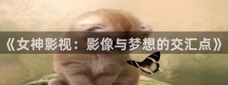 幸福宝草莓影院